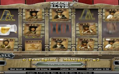 Biggest Dead or Alive Video Slot Win