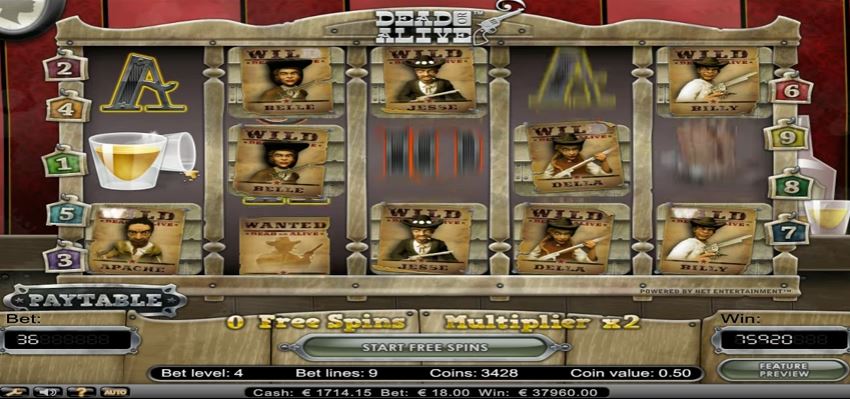 Biggest Dead or Alive Video Slot Win